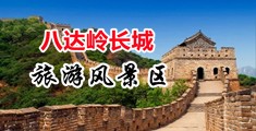 裂脣澒中国北京-八达岭长城旅游风景区